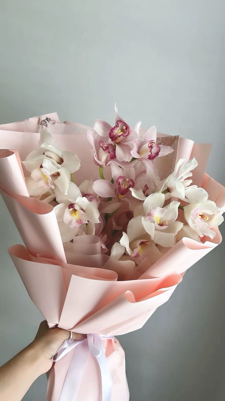 Orchid